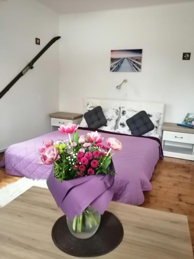 Apartment Patrick Harrachov Buitenkant foto